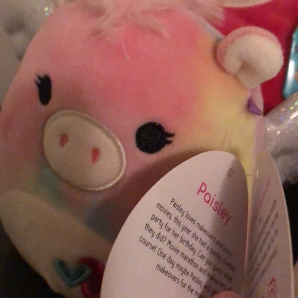 Squishmallow bundle - Picture 4 of 5